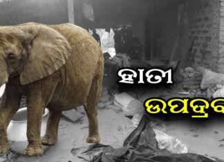 ଅଳ୍ପକେ ବର୍ତ୍ତିଲେ ବୃଦ୍ଧ ଦମ୍ପତି