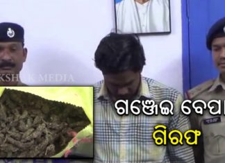 ଗଞ୍ଜେଇ ବେପାରୀ ଗିରଫ