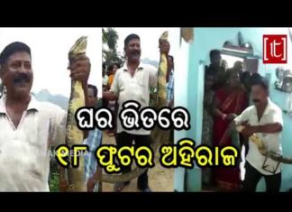 ଉଦ୍ଧାର ହେଲା ସବୁଠୁ ଲମ୍ବା ଅହିରାଜ