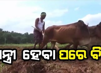 ହାତରେ ଲଙ୍ଗଳ, ମୁଣ୍ଡରେ ଠେକା