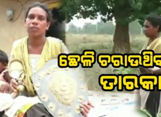 ରାଜ୍ୟ ପାଇଁ ଆଣୁଥିଲେ ଗୌରବ, ଏବେ ଚରାଉଛନ୍ତି ଛେଳି
