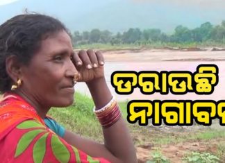 ଡରାଉଛି ନଇବନ୍ଧ