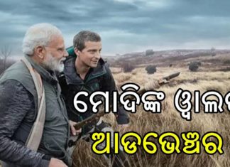 ଜଙ୍ଗଲରେ ମୋଦି