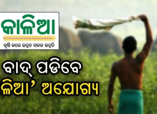 ବିଦା ହେବେ ଅଯୋଗ୍ୟ