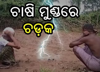 ଲଗାଣ ବର୍ଷା ଧୋଇଦେଲା ଫସଲ