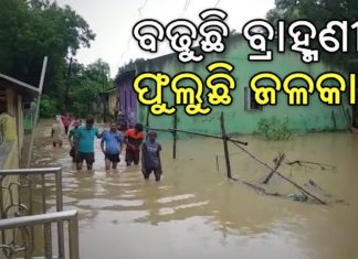 ଆତଙ୍କିତ ଅବସ୍ଥାରେ ଲୋକେ