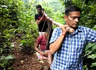 ଶକ୍ତି ଦେଖାଇଲେ ଶକ୍ତି ପ୍ରସାଦ