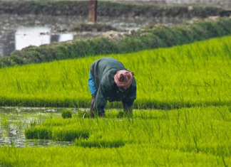 ଚାଷୀ ପଞ୍ଜୀକରଣ ଅବଧୀ ବୃଦ୍ଧି