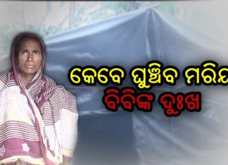 ମରିୟାନଙ୍କ ସଂଘର୍ଷର କାହାଣୀ