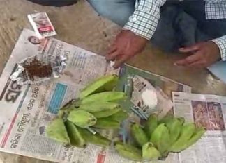 କଦଳୀରେ ବ୍ରାଉନସୁଗାର