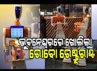 ଖାଦ୍ୟ ପରଷୁଛି ରୋବୋଟ୍