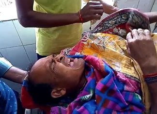 ଗୋଳାମୁଣ୍ଡାରେ ଭାଲୁ ଆତଙ୍କ, ଜଣେ ଗୁରୁତର