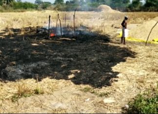 ପାଳଗଦା କାଳ ହେଲା