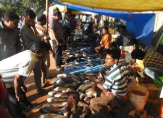 ଆମିଷ ବଜାରରେ ପ୍ରବଳ ଗହଳି