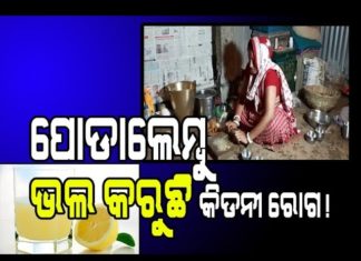 କିଡନୀ ପାଇଁ ପୋଡାଲେମ୍ବୁ