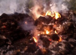 ପୋଡି ପାଉଁଶ ହେଲା ଚାଷୀର ବର୍ଷକର ପରିଶ୍ରମ