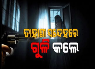 ଗୁଣି ଗାରେଡିରୁ ଫୁଟିଲା ଗୁଳି