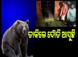 ଡାକିଲେ ପାଖକୁ ଆସୁଛି ଭାଲ