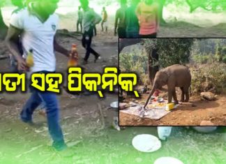 ପିକନିକ୍ ସ୍ପଟରେ ବବୁଲୁର ତାଣ୍ଡବ