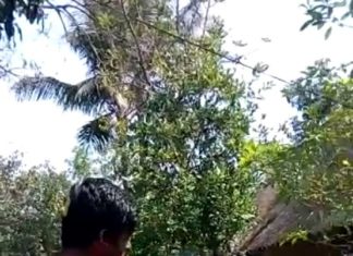 ଗୋଡାଇ ଗୋଡାଇ ହାଣିବାର ଲାଇଭ୍ ଭିଡିଓ..