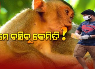 ଆମକୁ ଖାଇବାକୁ ଦେବ କିଏ