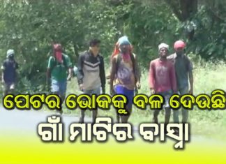 ଘରକୁ ବାହୁଡୁଛନ୍ତି ହଜାର ହଜାର ପ୍ରବାସୀ