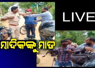 ନିଲମ୍ୱିତ ହେଲେ ୨ ବନ କର୍ମଚାରୀ