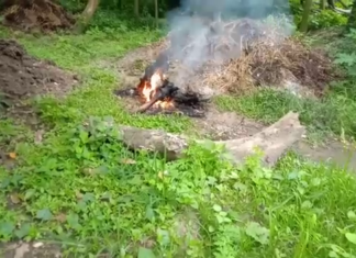 ପାରିବାରିକ କଳହର ଭୟଙ୍କର ପରିଣତି