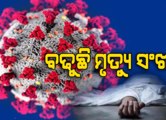 ଆଜି ୨୦୬ କରୋନା ପଜିଟିଭ୍ ଚିହ୍ନଟ, ୨ ମୃତ: କେଉଁ ଜିଲ୍ଲାରୁ କେତେ ଚିହ୍ନଟ, ଦେଖନ୍ତୁ
