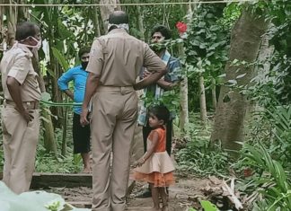 ଚା’ ନଦେବାରୁ ସ୍ତ୍ରୀକୁ ହତ୍ୟା କଲା ସ୍ୱାମୀ