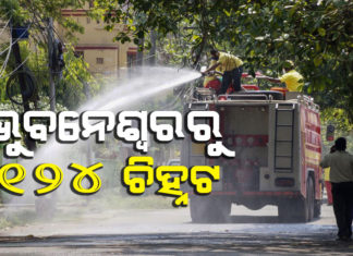 ହଜାରେ ଟପିଲା ପଜିଟିଭ୍ ସଂଖ୍ୟା