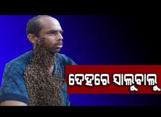 ମହୁମାଛି ମଣିଷ