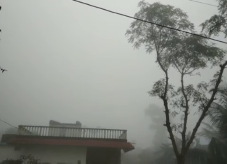 ଆଗାମୀ ୩ ଦିନ ଦେଖାଦେବ କୁହୁଡି