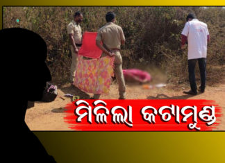 ଖୋଲୁଛି କଟାମୁଣ୍ଡର ରହସ୍ୟ
