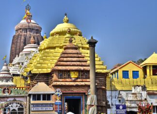 ଶ୍ରୀମନ୍ଦିରରୁ ଖସିଲା ମୂର୍ତ୍ତି, ସେବାୟତ ଆହତ