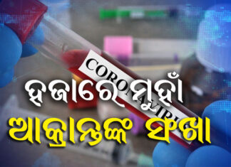 ଖୋର୍ଦ୍ଧାରୁ ସର୍ବାଧିକ ପଜିଟିଭ୍ ଚିହ୍ନଟ