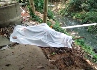 ଖୁଡିକୁ ଟାଙ୍ଗିଆରେ ହାଣି ହତ୍ୟା କରିବା ପରେ..