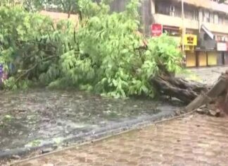 ଲ୍ୟାଣ୍ଡଫଲ ପୂର୍ବରୁ ତାଣ୍ଡବ ରଚିଲାଣି ‘ତୌକତେ’