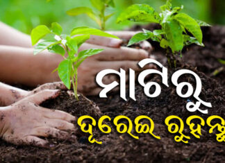 ଏସବୁ କରନ୍ତୁ ପାଖ ମାଡିବନି ‘ବ୍ଲାକ ପଙ୍ଗସ’