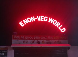 ସିଲ୍ ହେଲା ‘ନନଭେଜ୍ ୱାଲର୍ଡ’, ୩ ଗିରଫ