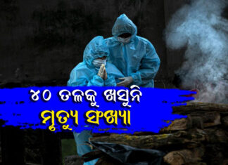 ୬୦୧୯ ପଜିଟିଭ୍ , ୪୩ ମୃତ