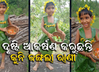 ପରିବେଶ ଦିବସ ଅବସରରେ ବାଣ୍ଟିଛନ୍ତି ସଚେତନତାର ବାର୍ତ୍ତା