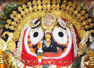 ବିନା ଭକ୍ତରେ କାଳିଆ ସଜେଇ ହେବ ସୁନାରେ