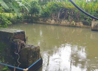 ଫାର୍ମ ହାଉସରୁ ପ୍ରଫେସର ଝିଅଙ୍କ ମୃତ ଦେହ ଉଦ୍ଧାର