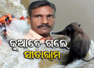 ମିଳିଥିବା ମୃତଦେହ ଓଡ୍ରାଫ୍ ଟିମର ସଦସ୍ୟ ନୁହଁନ୍ତି