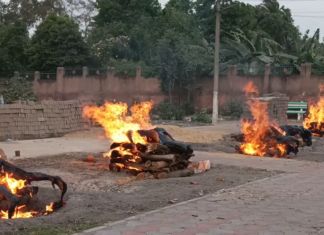 ଜଳିଲା ୫ ଜୁଇ