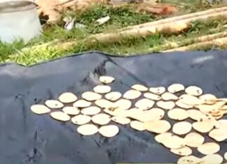 କଟକ ଶଙ୍କରପୁର ଅଞ୍ଚଳରେ ଗୁପ୍ଚୁପ୍ ବ୍ୟବସାୟୀଙ୍କ ଘରେ ରେଡ୍