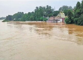 ବଢିବ ବୈତରଣୀ