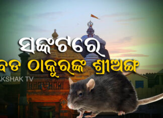 ଶ୍ରୀମନ୍ଦିରରେ ପଲପଲ ମୂଷା ,ଅସରପା