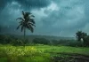 ଓଡ଼ିଶା ଛୁଇଁଲା ଦକ୍ଷିଣ-ପଶ୍ଚିମ ମୌସୁମୀ ବାୟୁ